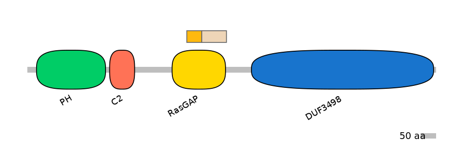 RnoALTA0039498-4_4-EXC