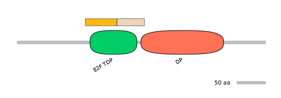RnoALTA0040447-1_2-INC