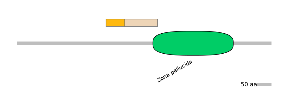 RnoALTA0040500-1_2-INC