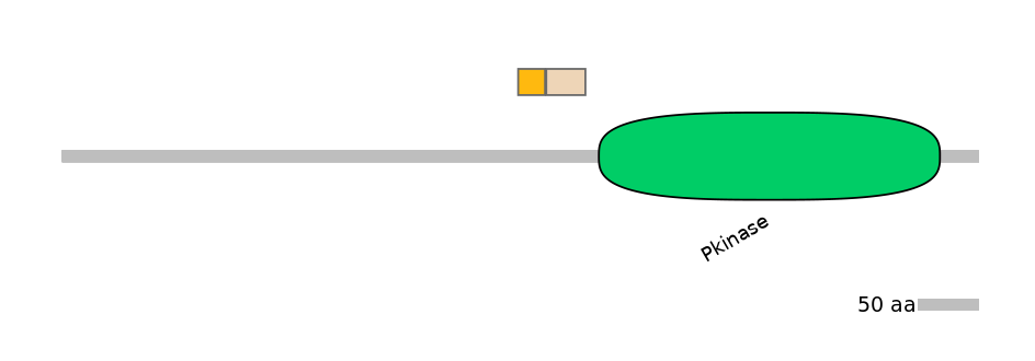 RnoALTA0040778-1_2-EXC
