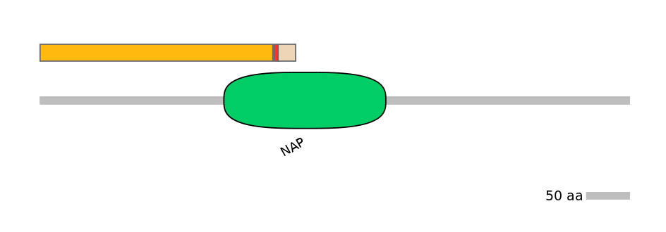 RnoALTA0042563-2_2-INC