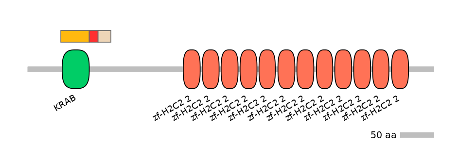 RnoALTA0045629-4_4-EXC