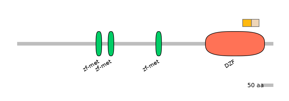 RnoALTA0045886-1_2-EXC