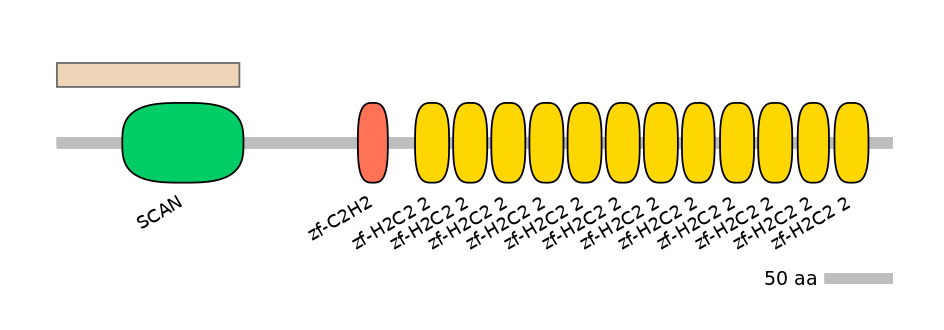 RnoALTA0046081-2_2-EXC