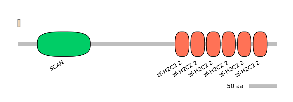 RnoALTA0046088-2_2-EXC