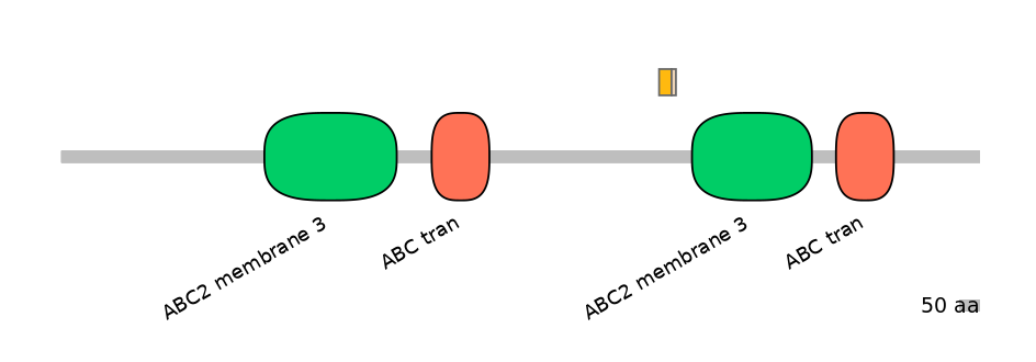 RnoALTD0001228-1_2-INC