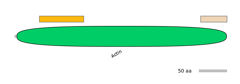RnoALTD0001713-1_5-EXC