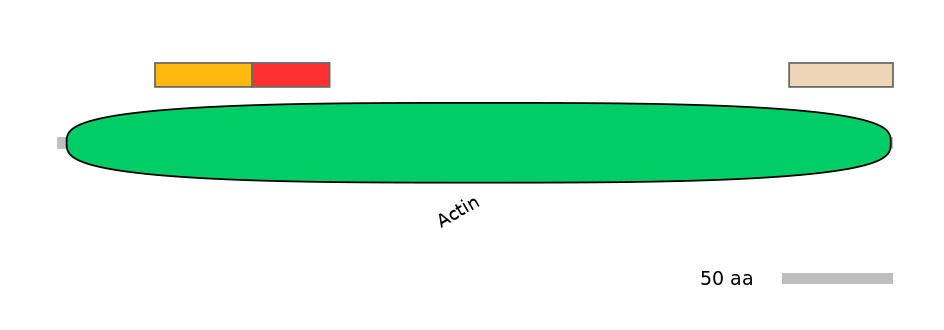 RnoALTD0001713-2_5-EXC