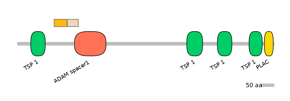 RnoALTD0001898-1_3-EXC