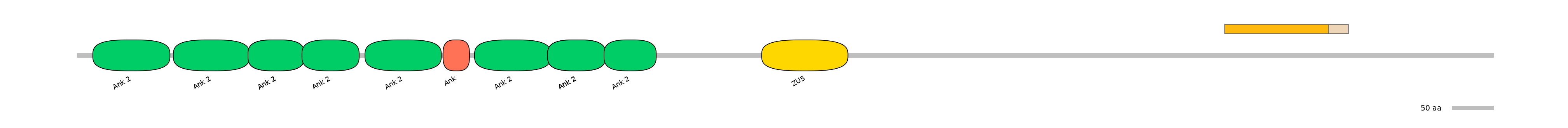 RnoALTD0002681-2_3-EXC