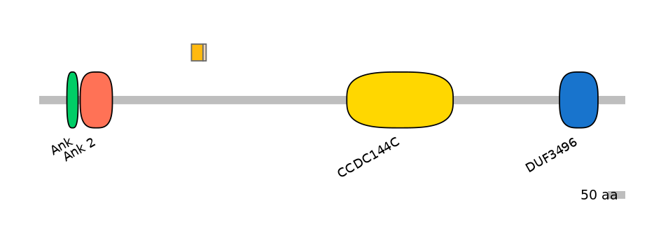 RnoALTD0002763-2_2-EXC