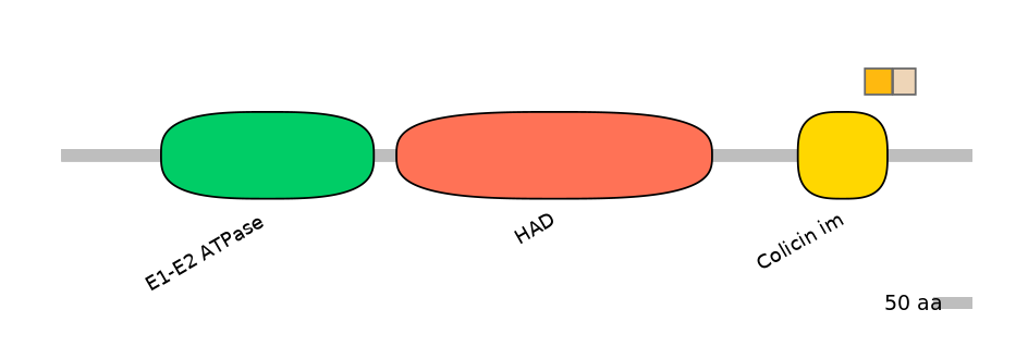 RnoALTD0004072-1_2-EXC