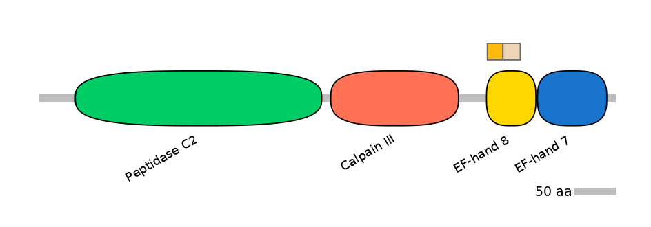 RnoALTD0005178-2_2-EXC