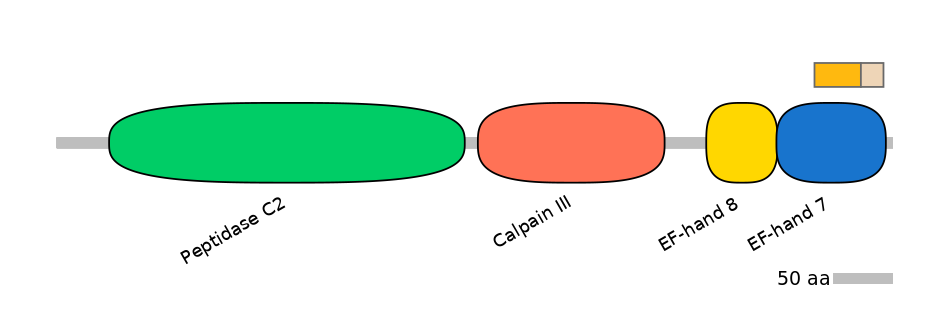 RnoALTD0005191-1_2-EXC