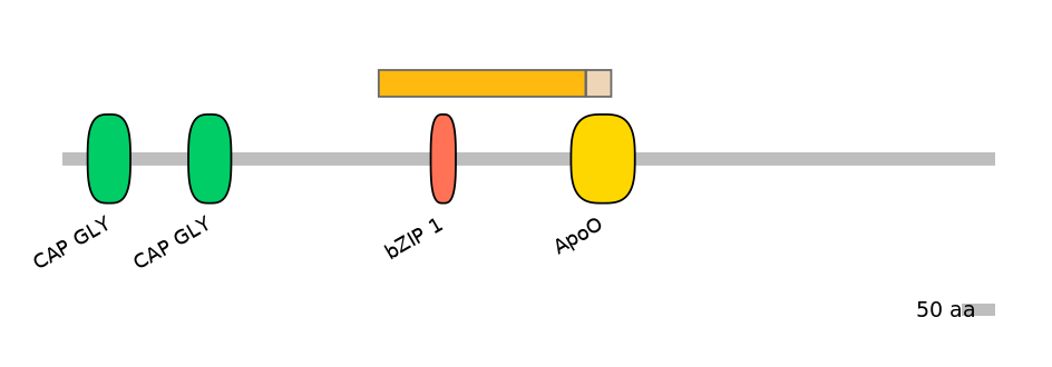 RnoALTD0006946-1_2-EXC