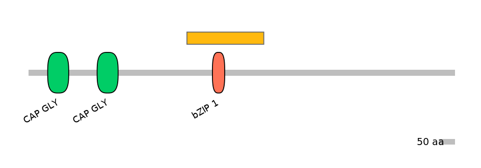 RnoALTD0006946-2_2-EXC