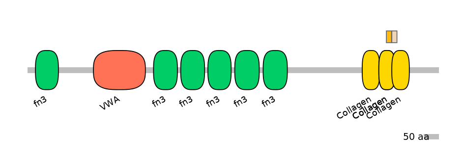 RnoALTD0007321-1_3-INC