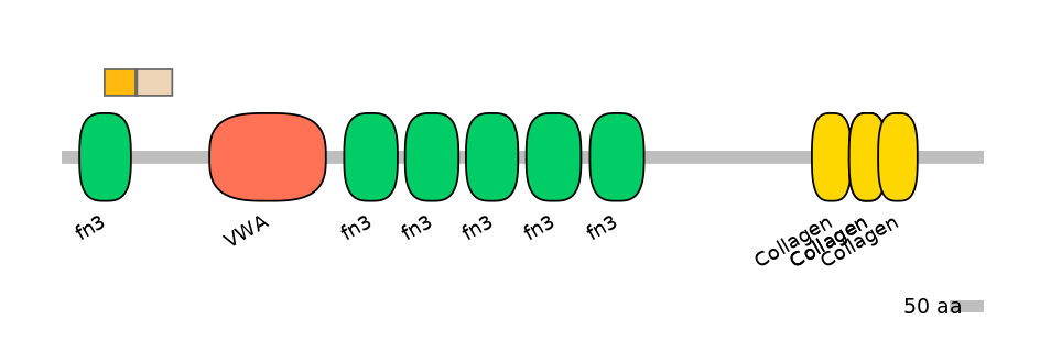 RnoALTD0007323-2_2-INC