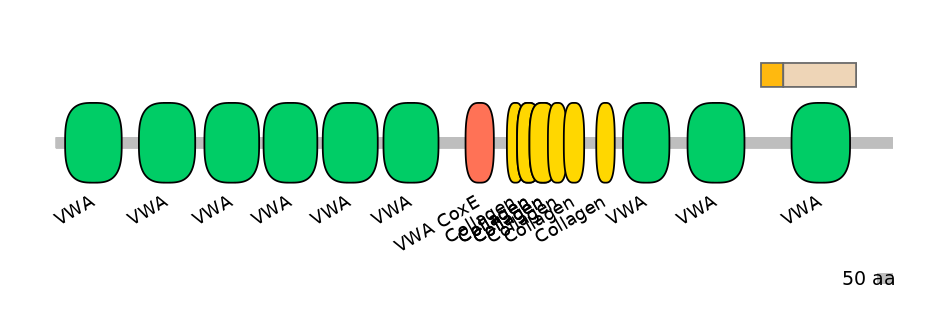RnoALTD0007414-1_2-EXC