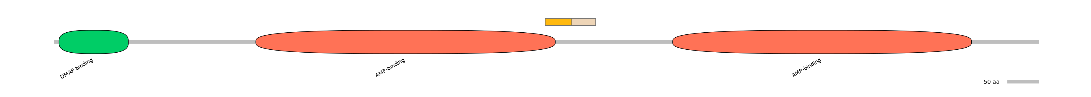 RnoALTD0009015-1_3-EXC