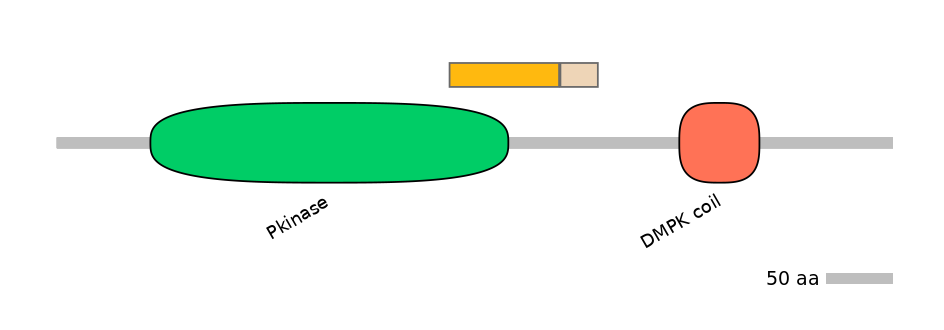 RnoALTD0009129-2_2-EXC