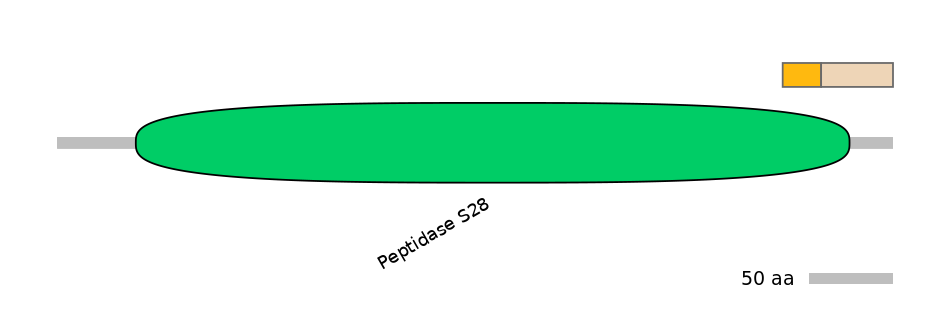 RnoALTD0009494-2_2-EXC