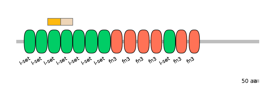 RnoALTD0009579-1_2-EXC
