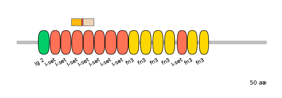 RnoALTD0009580-2_3-EXC