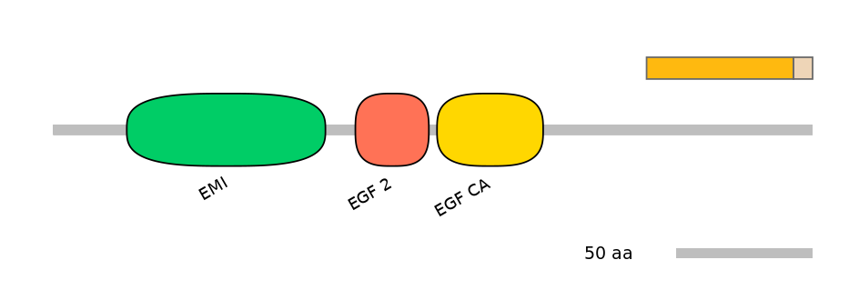 RnoALTD0009991-1_3-EXC
