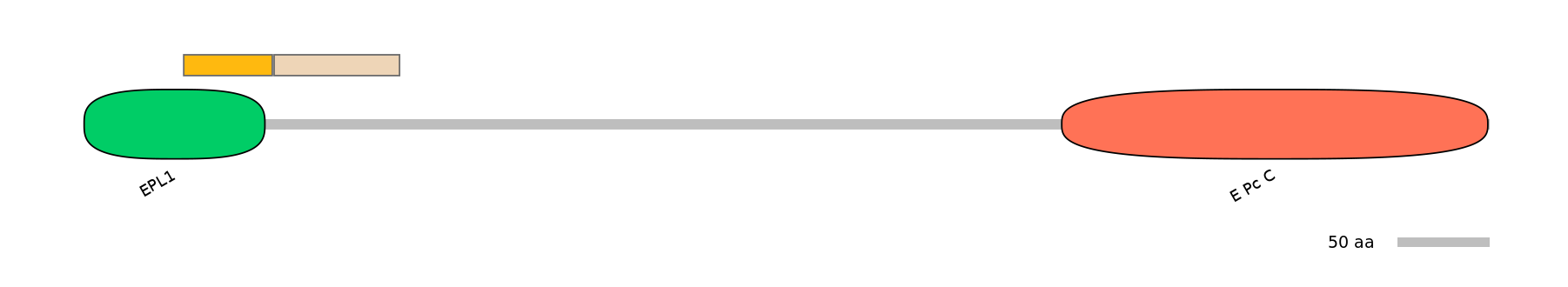 RnoALTD0010446-1_3-EXC