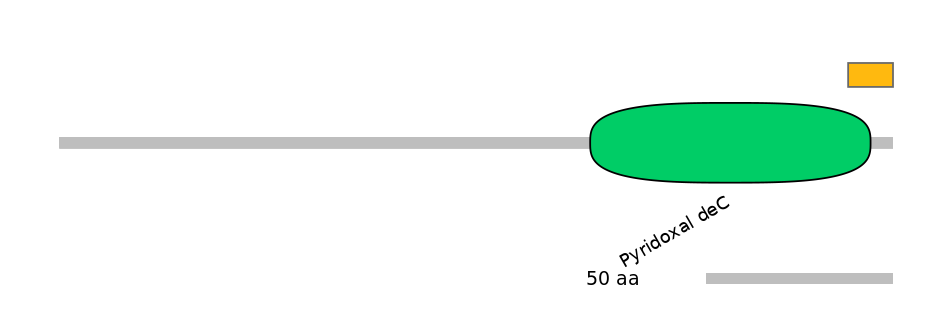 RnoALTD0012105-2_2-EXC