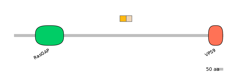 RnoALTD0012209-1_2-EXC