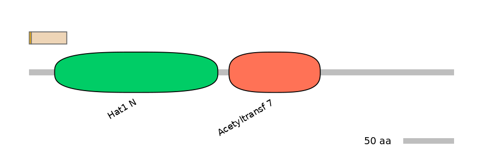 RnoALTD0013379-1_2-INC