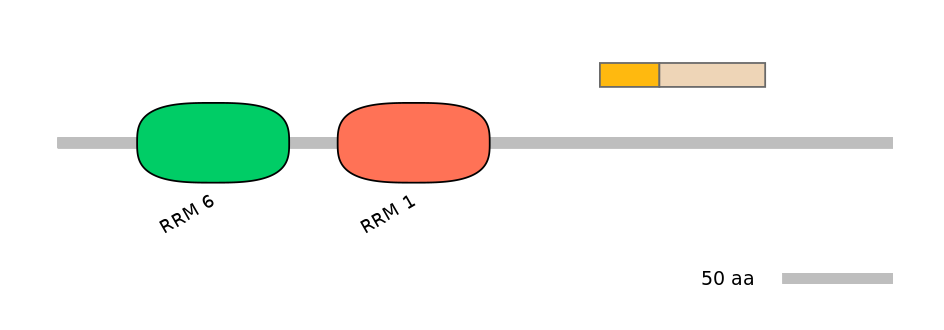 RnoALTD0013821-1_4-EXC
