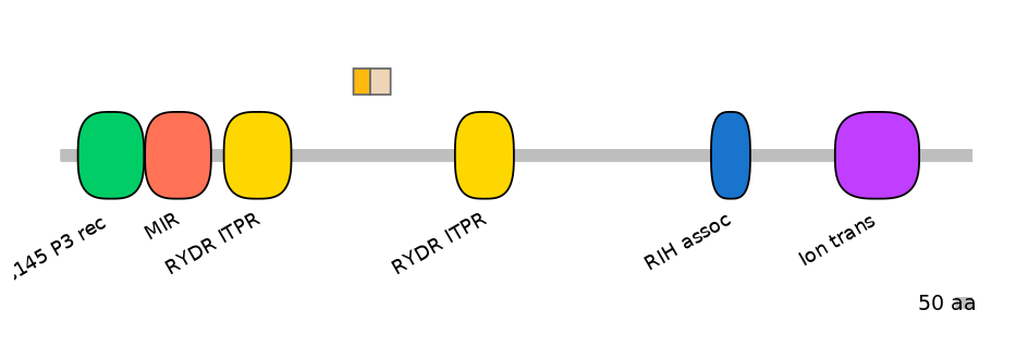 RnoALTD0014877-1_2-INC