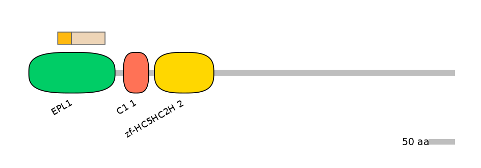 RnoALTD0014944-1_2-EXC
