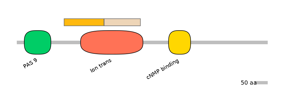 RnoALTD0015119-1_2-EXC