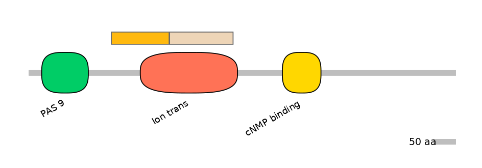 RnoALTD0015119-2_2-EXC