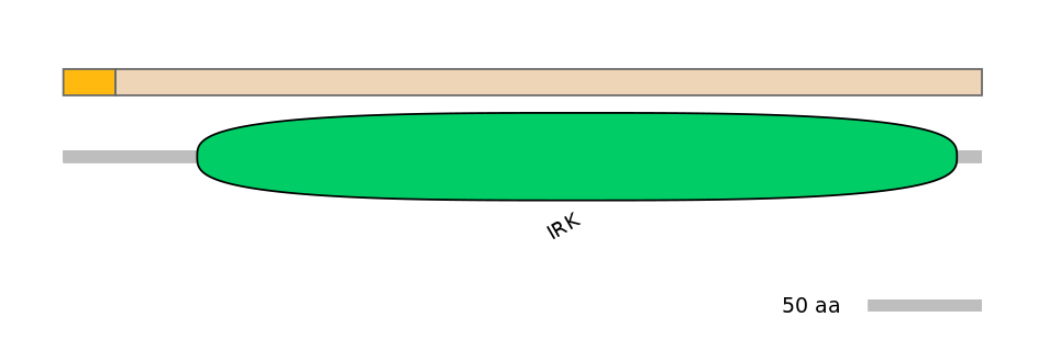 RnoALTD0015140-2_2-EXC
