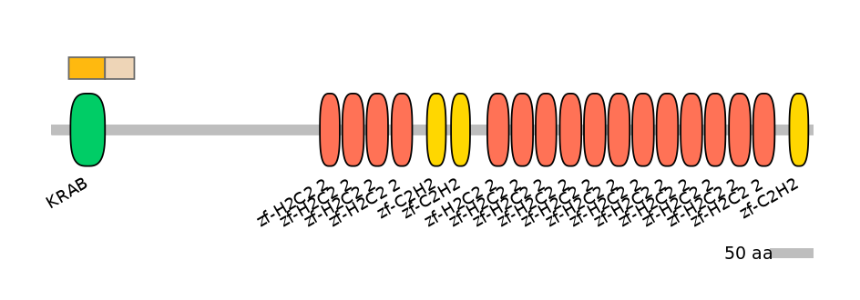 RnoALTD0015931-1_4-EXC