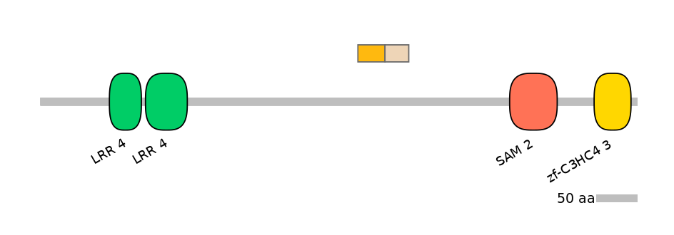 RnoALTD0017028-2_2-EXC