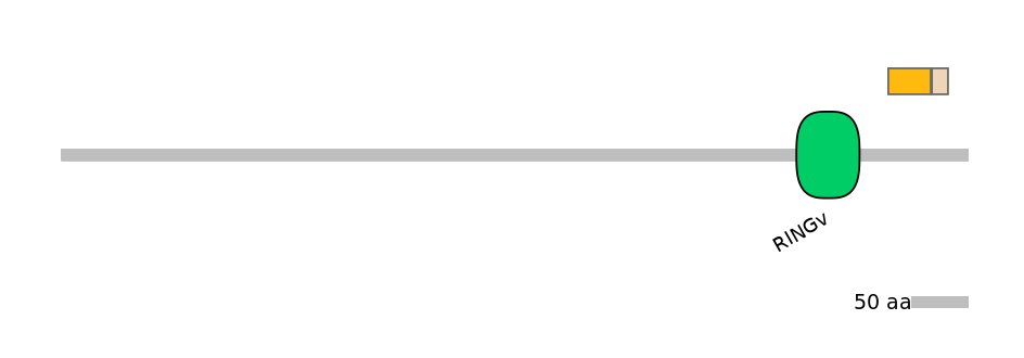 RnoALTD0017600-1_2-INC