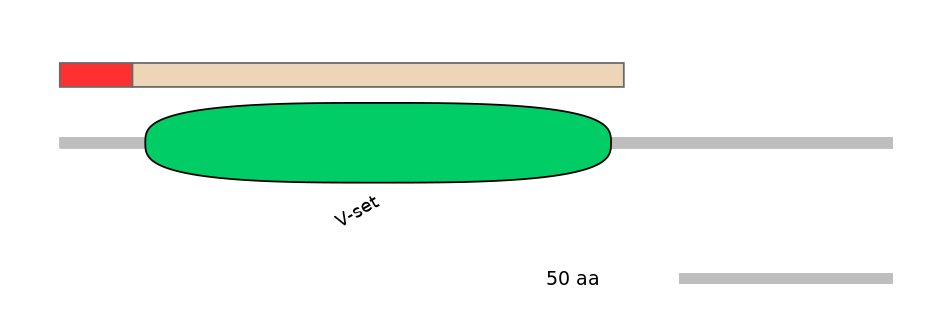 RnoALTD0019623-2_4-EXC