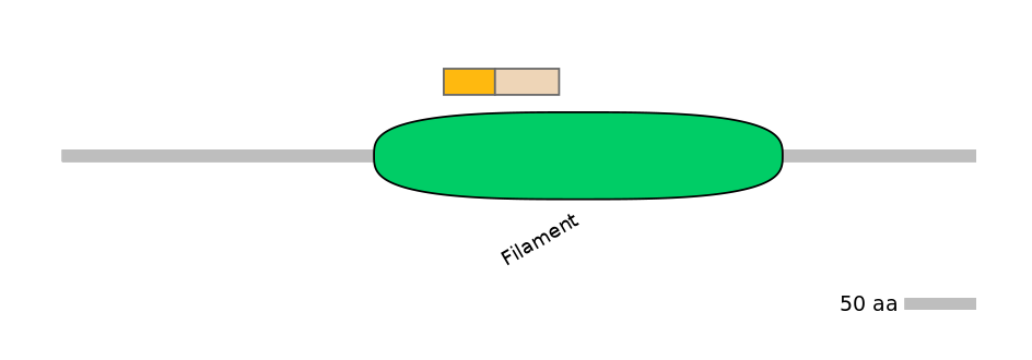 RnoALTD0020903-2_2-EXC