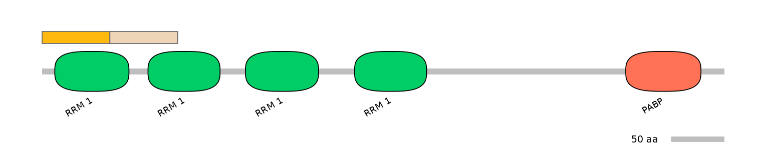 RnoALTD0021192-3_3-EXC