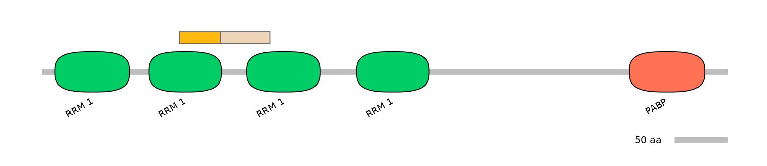 RnoALTD0021195-2_2-EXC