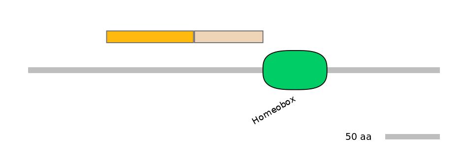 RnoALTD0021429-1_2-EXC