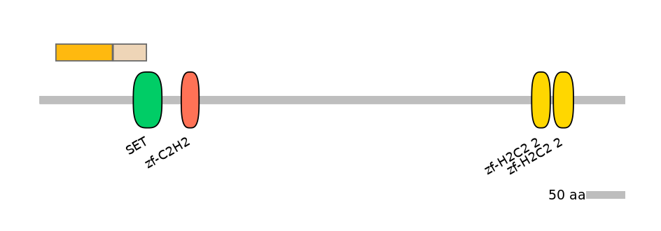 RnoALTD0023411-1_2-EXC