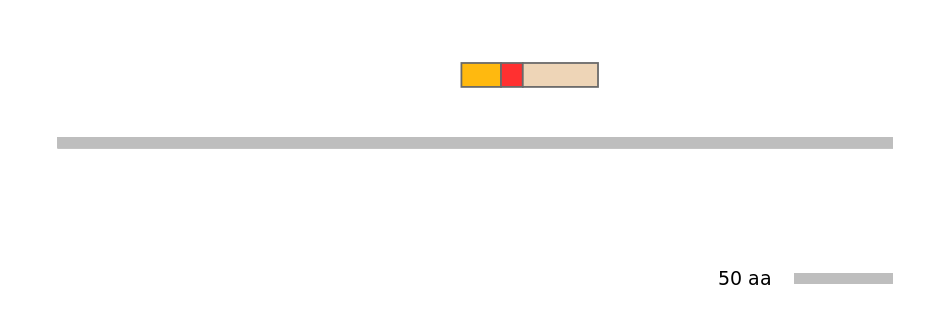 RnoALTD0024504-3_3-EXC