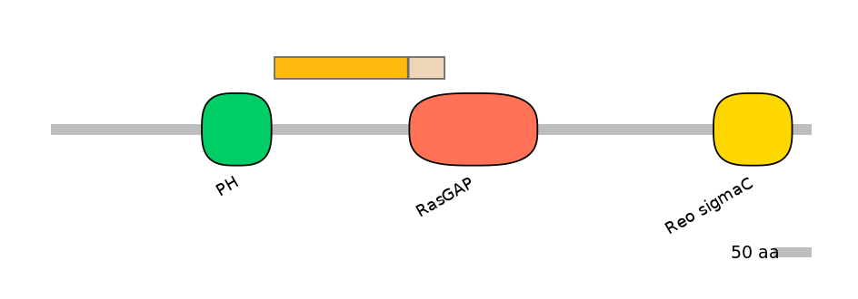 RnoALTD0025091-1_2-INC